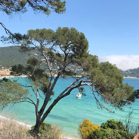 Avec Piscine Vue * Le Lavandou